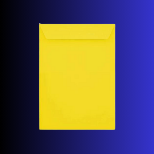 VDC Laminated Paper Envelopes-10X12 Inches-100 GSM Pack of 50