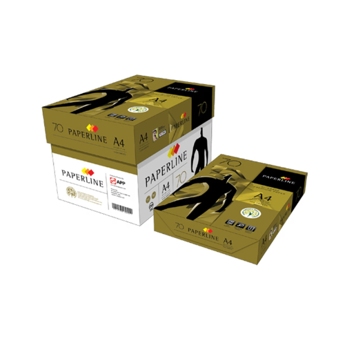 PaperLine A4 Copier Paper 70 GSM – High-Quality Paper (Pack of 2 Reams)